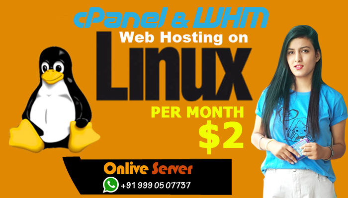 Economical Solution with Linux VPS Hosting Services