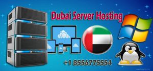 Dubai Server Hosting