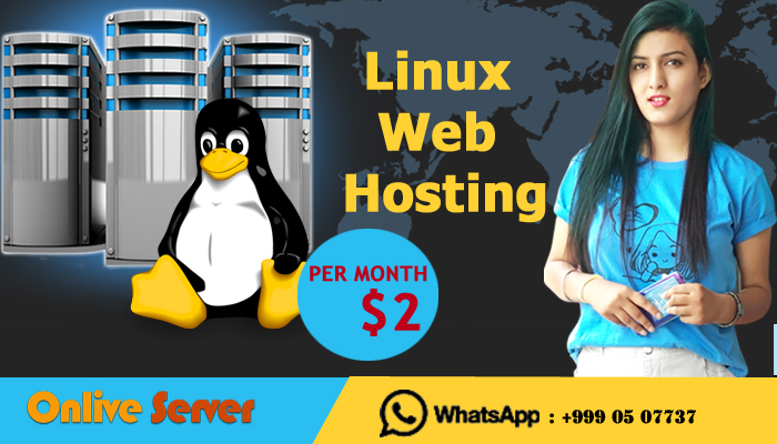 Cheap Linux VPS Server is Better Choice for Online Business