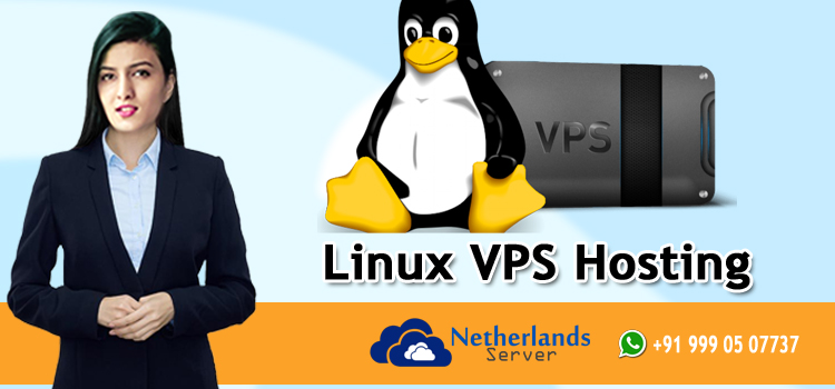Grab Marvellous features of Linux VPS Hosting by Onlive Server