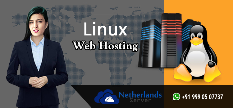Linux хостинг. Linux хостинг