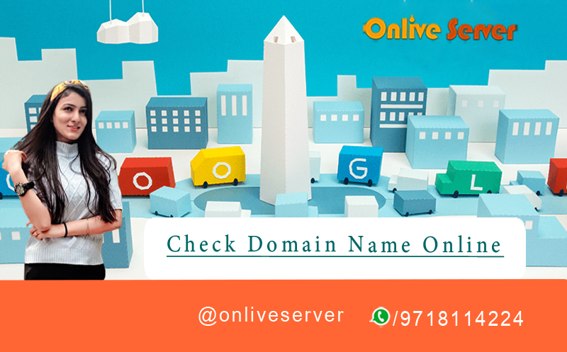 Check Domain Name Online