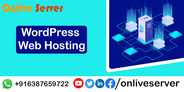 Great Web Hosting Experience With New And Innovative WordPress Web Hosting